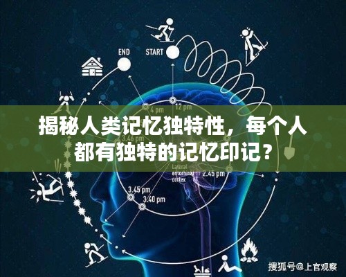 揭秘人类记忆独特性，每个人都有独特的记忆印记？