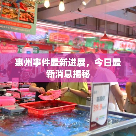惠州事件最新进展，今日最新消息揭秘
