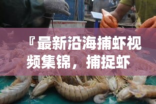 『最新沿海捕虾视频集锦，捕捉虾类活动的瞬间精彩』