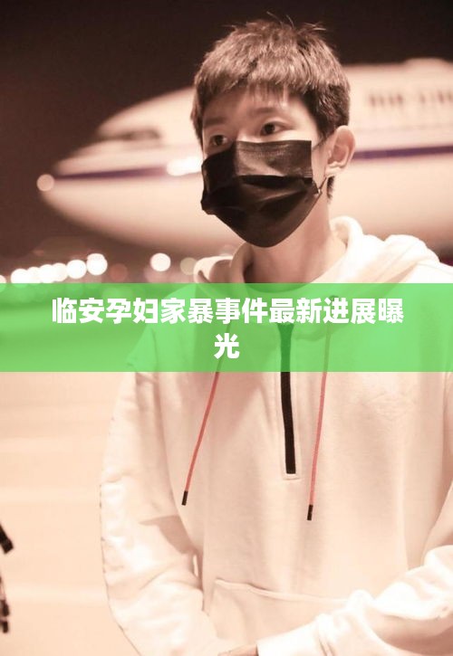 临安孕妇家暴事件最新进展曝光
