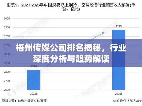 梧州传媒公司排名揭秘，行业深度分析与趋势解读
