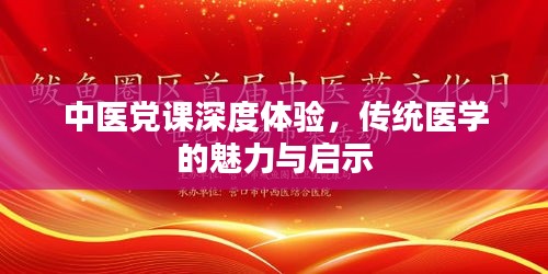 中医党课深度体验，传统医学的魅力与启示