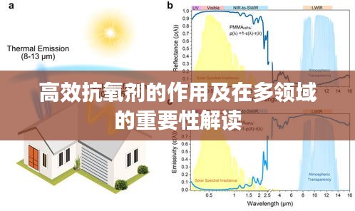 高效抗氧剂的作用及在多领域的重要性解读