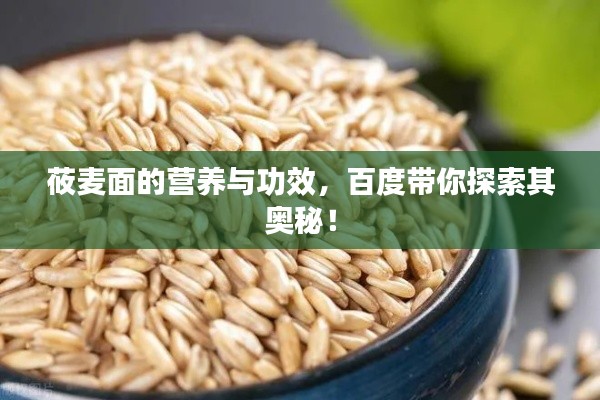 莜麦面的营养与功效，百度带你探索其奥秘！