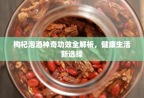 枸杞泡酒神奇功效全解析，健康生活新选择