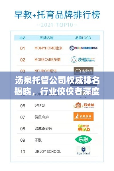 汤泉托管公司权威排名揭晓，行业佼佼者深度解析