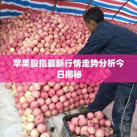 苹果股指最新行情走势分析今日揭秘