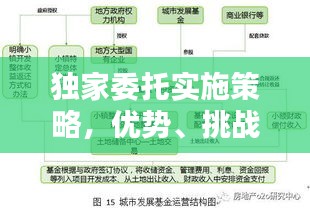 独家委托实施策略，优势、挑战与解决方案
