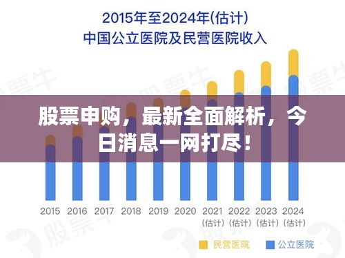 股票申购，最新全面解析，今日消息一网打尽！