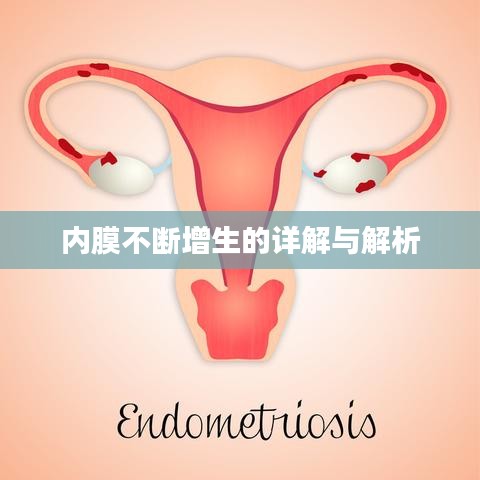 内膜不断增生的详解与解析