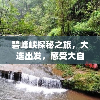 碧峰峡探秘之旅，大连出发，感受大自然的魅力