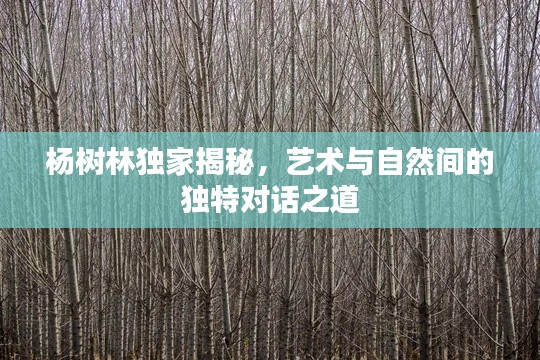 杨树林独家揭秘，艺术与自然间的独特对话之道