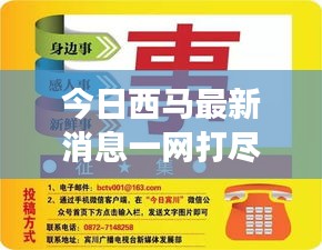 今日西马最新消息一网打尽，城市动态速递，发展洞悉无遗