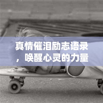 真情催泪励志语录，唤醒心灵的力量，感动每一刻