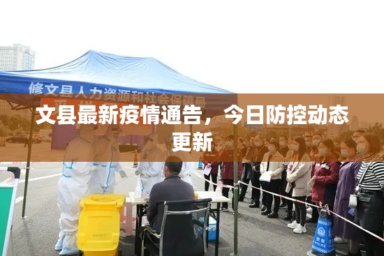 文县最新疫情通告，今日防控动态更新