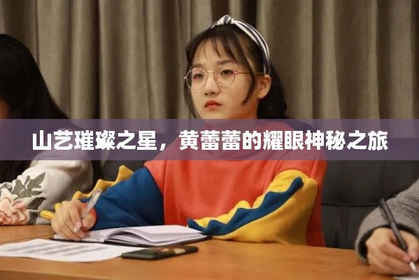 山艺璀璨之星，黄蕾蕾的耀眼神秘之旅