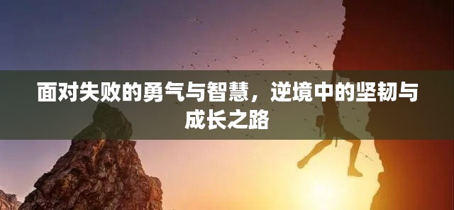 面对失败的勇气与智慧，逆境中的坚韧与成长之路
