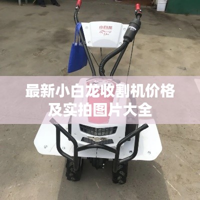 最新小白龙收割机价格及实拍图片大全