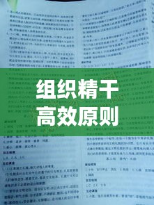 组织精干高效原则的实践探索与启示