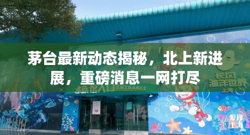 茅台最新动态揭秘，北上新进展，重磅消息一网打尽