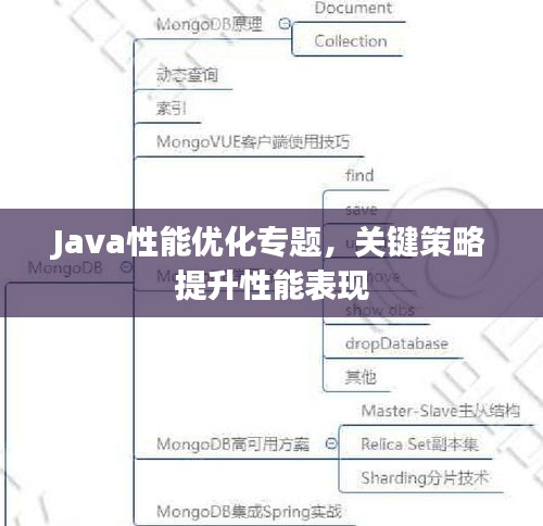 Java性能优化专题，关键策略提升性能表现