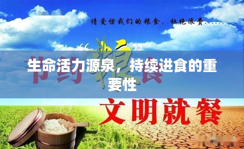 生命活力源泉，持续进食的重要性
