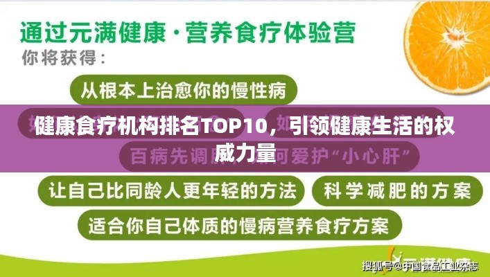 健康食疗机构排名TOP10，引领健康生活的权威力量