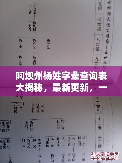 阿坝州杨姓字辈查询表大揭秘，最新更新，一网打尽