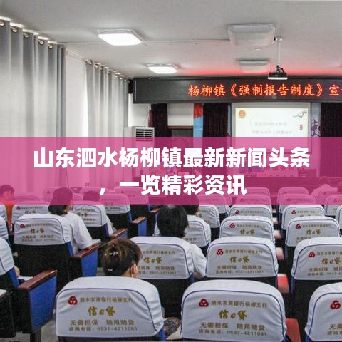 山东泗水杨柳镇最新新闻头条，一览精彩资讯