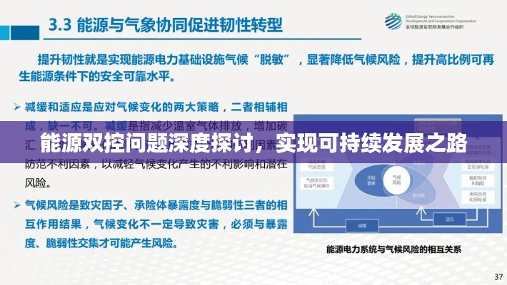 能源双控问题深度探讨，实现可持续发展之路