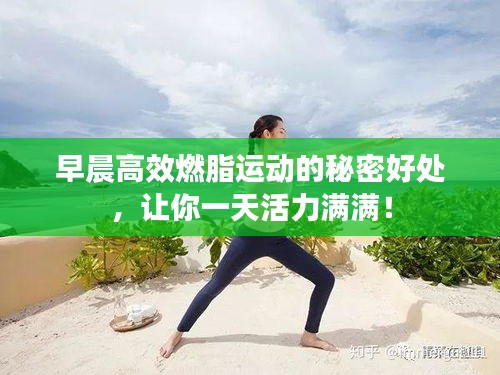 早晨高效燃脂运动的秘密好处，让你一天活力满满！