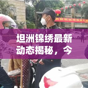 坦洲锦绣最新动态揭秘，今日更新消息汇总