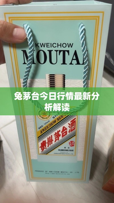 兔茅台今日行情最新分析解读