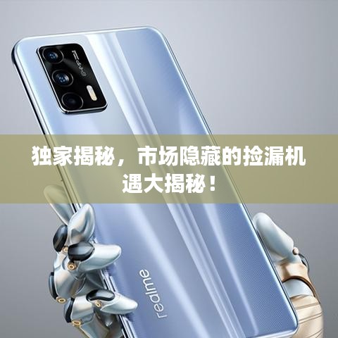 独家揭秘，市场隐藏的捡漏机遇大揭秘！