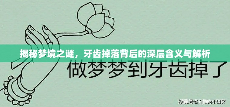 揭秘梦境之谜，牙齿掉落背后的深层含义与解析