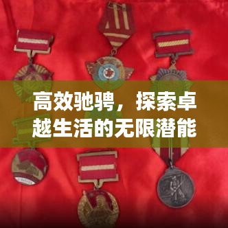 高效驰骋，探索卓越生活的无限潜能