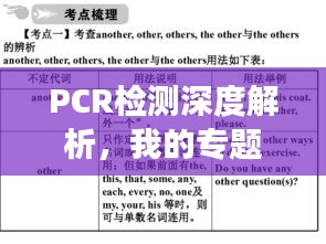 PCR检测深度解析，我的专题心得之旅