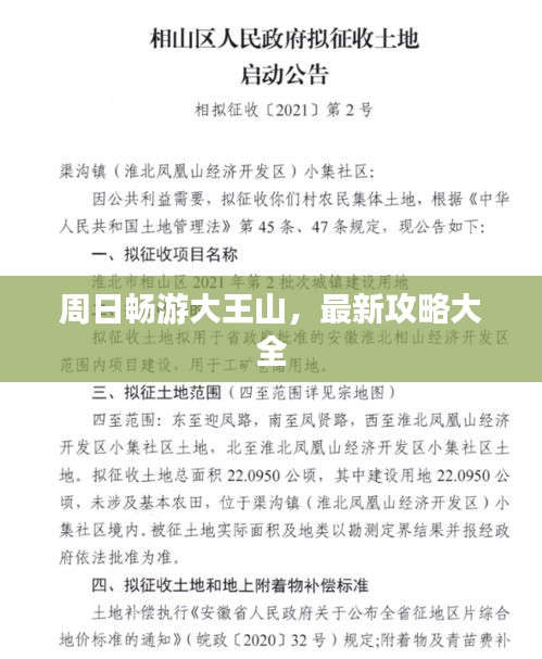 周日畅游大王山，最新攻略大全
