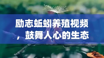 励志蚯蚓养殖视频，鼓舞人心的生态成长之旅