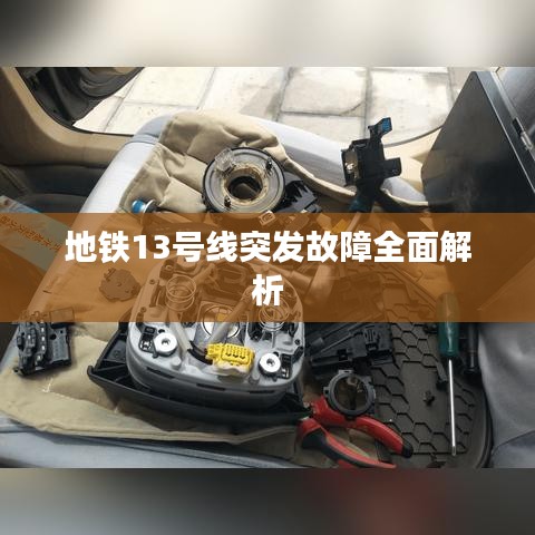 比翼鸟