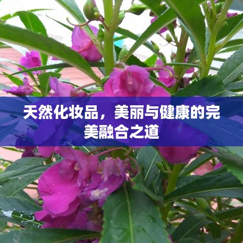 仙姿佚貌