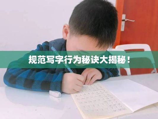 规范写字行为秘诀大揭秘！