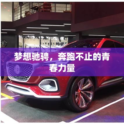 梦想驰骋，奔跑不止的青春力量