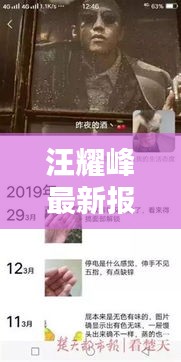 汪耀峰最新报道与动态探索揭秘