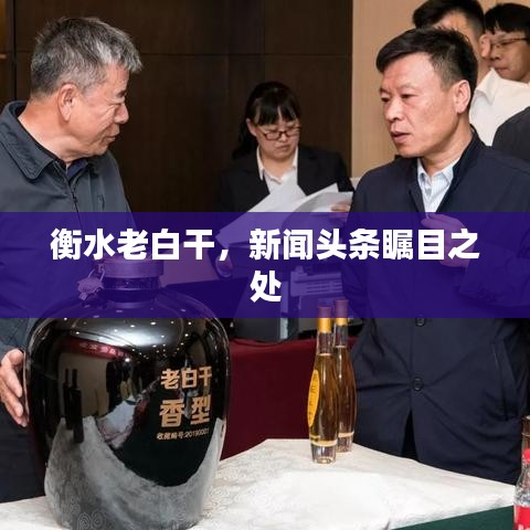 衡水老白干，新闻头条瞩目之处