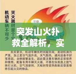 突发山火扑救全解析，实用指南与视频教程助你应对危机！