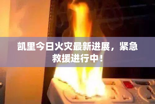 凯里今日火灾最新进展，紧急救援进行中！