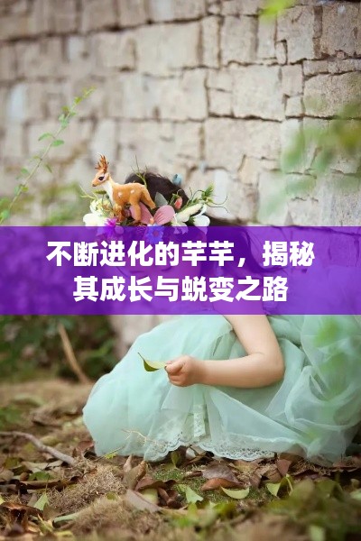 不断进化的芊芊，揭秘其成长与蜕变之路