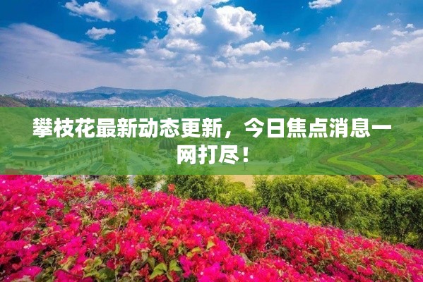 令行禁止
