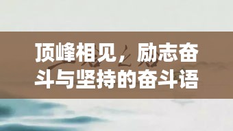 光明磊落